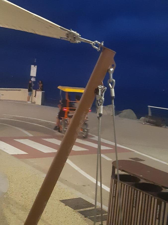 Sandra Camporosso كامبوروسو المظهر الخارجي الصورة